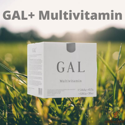 GAL-multivitamin